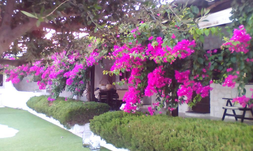 Villa Hidden Heaven Mykonos Town Exterior foto
